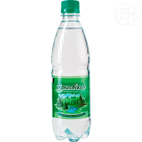 Борисовская минеральная вода газированная 0,5л пэт