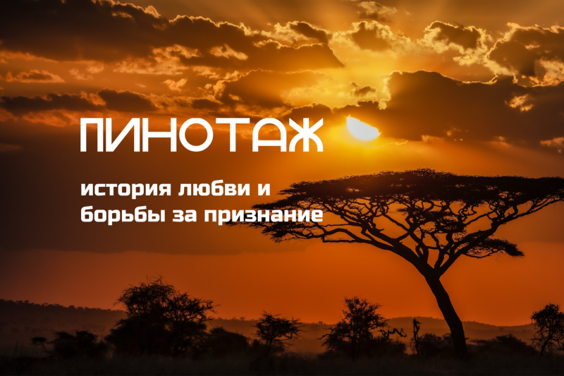 Пинотаж: история любви и борьбы за признание