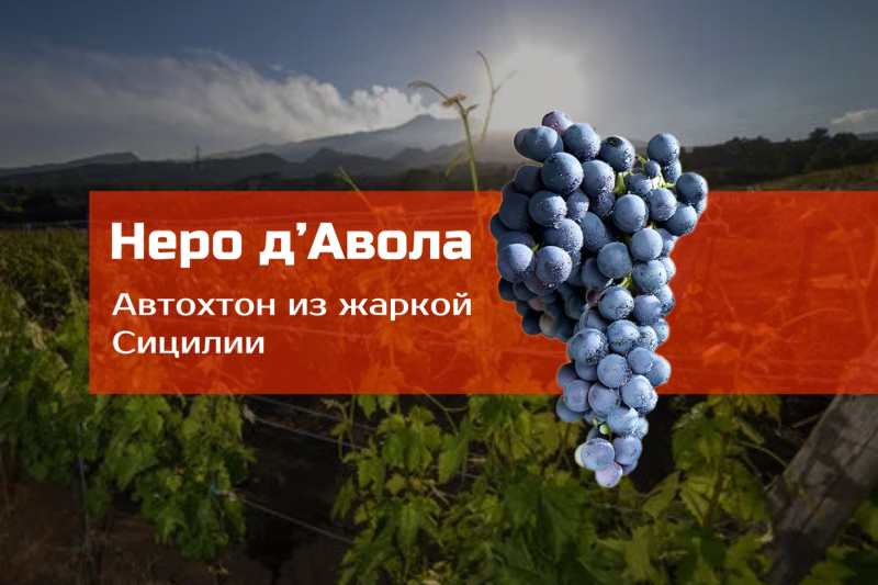 Неро д’Авола: автохтон из жаркой Сицилии