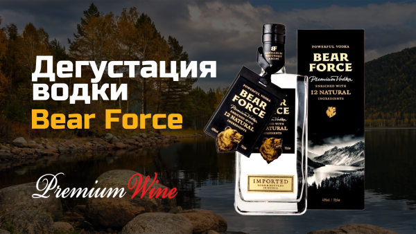 Дегустация в Premium wine